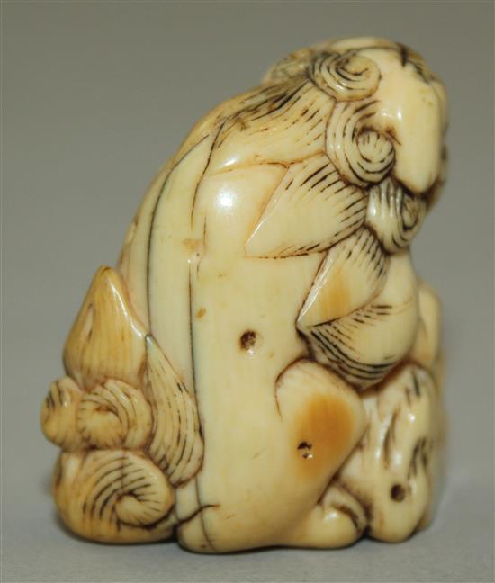 A Japanese ivory netsuke of a shi-shi, Edo period, 3.6cm